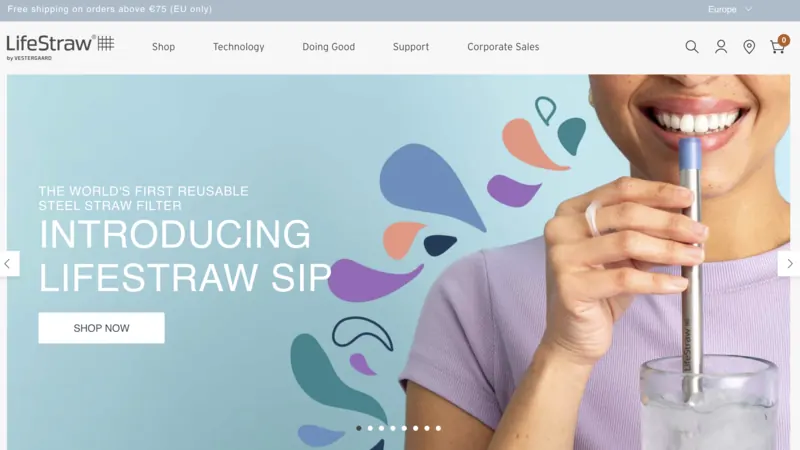 Life Straw website screenshot