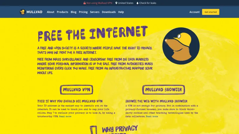 Mullvad VPN website screenshot